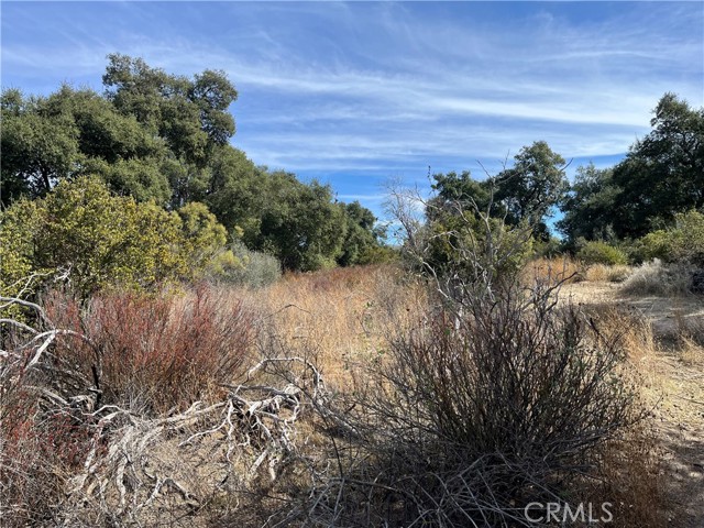 Detail Gallery Image 14 of 26 For 35010 Willow Creek Rd., Hemet,  CA 92544 - – Beds | – Baths