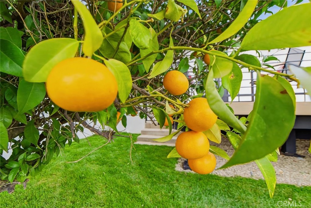 https://media.crmls.org/medias/d874c142-b3d9-42a5-821d-db5b75b06a08.jpg?preset=X-Large