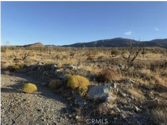 Detail Gallery Image 4 of 8 For 28401 263rd St E, Llano,  CA 93544 - – Beds | – Baths