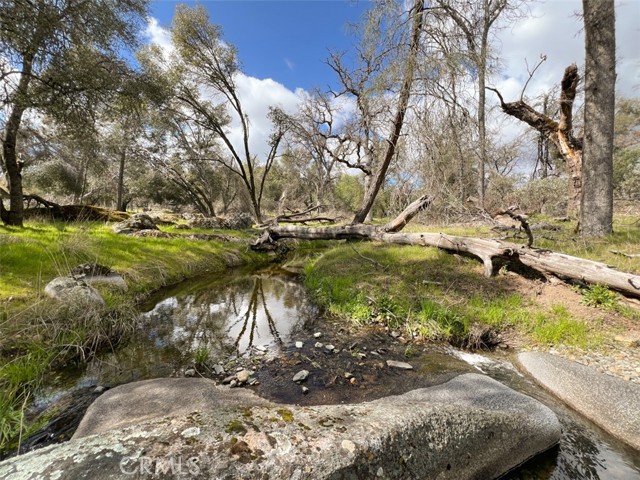 Detail Gallery Image 61 of 70 For 4683 Morningstar Ln, Mariposa,  CA 95338 - – Beds | – Baths