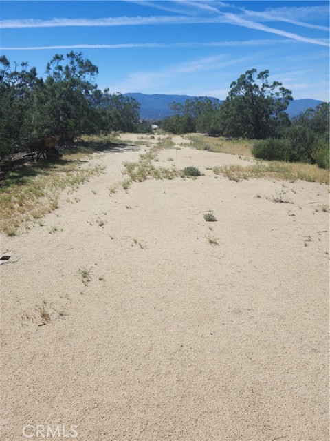 Front Image Thumbnail for CRAR26070471