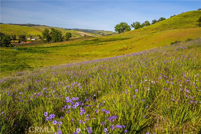 Detail Gallery Image 16 of 29 For 77505 Reinert Rd, San Miguel,  CA 93451 - – Beds | – Baths