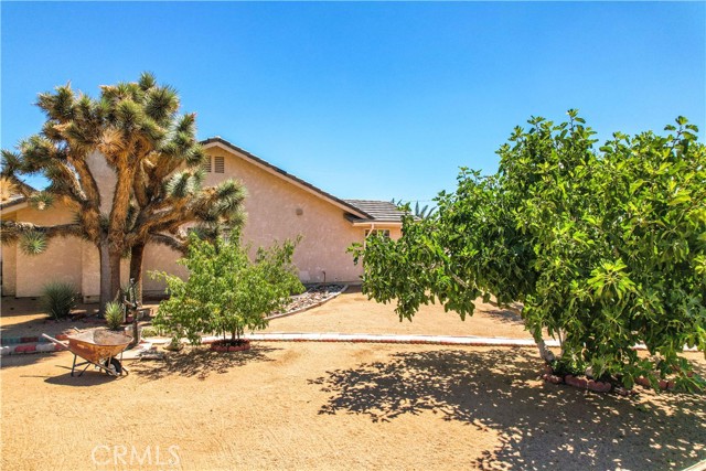 Detail Gallery Image 27 of 70 For 8582 Frontera Ave, Yucca Valley,  CA 92284 - 4 Beds | 3 Baths