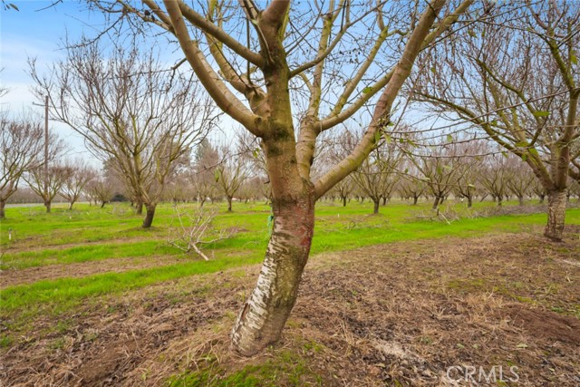 Detail Gallery Image 9 of 47 For 16221 Carrolton, Escalon,  CA 95320 - – Beds | – Baths