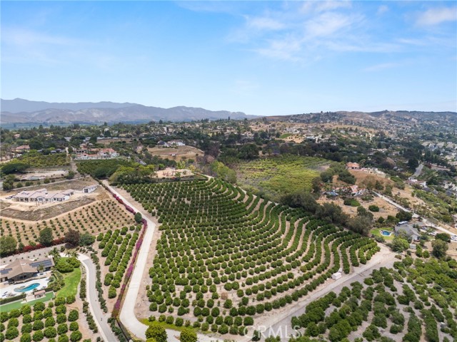 25 Encino Avenue, Camarillo CA: https://media.crmls.org/medias/d88a5316-6047-407a-a95a-6195fbcb310d.jpg