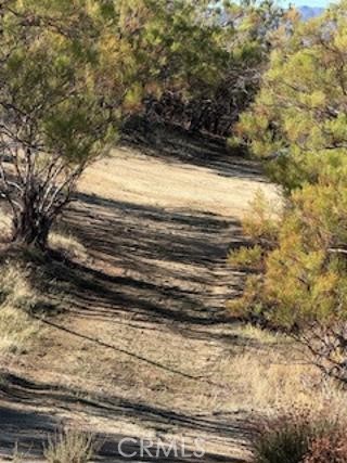 MLS #SW25227735 image #17