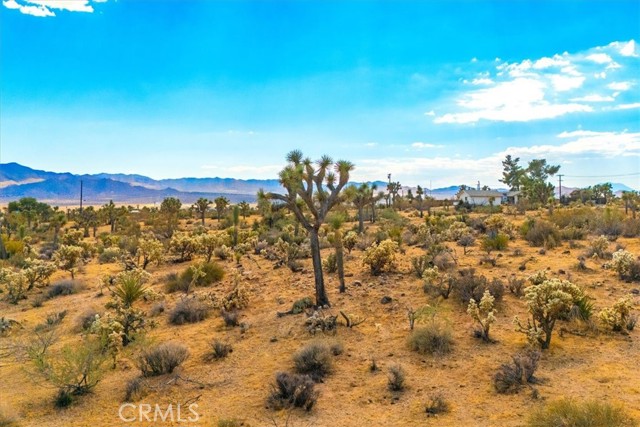 Detail Gallery Image 63 of 75 For 5324 Paradise View Rd, Yucca Valley,  CA 92284 - 2 Beds | 1 Baths