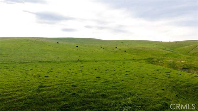 Detail Gallery Image 20 of 44 For 8050 Bitterwater Road, Shandon,  CA 93461 - 3 Beds | 1 Baths