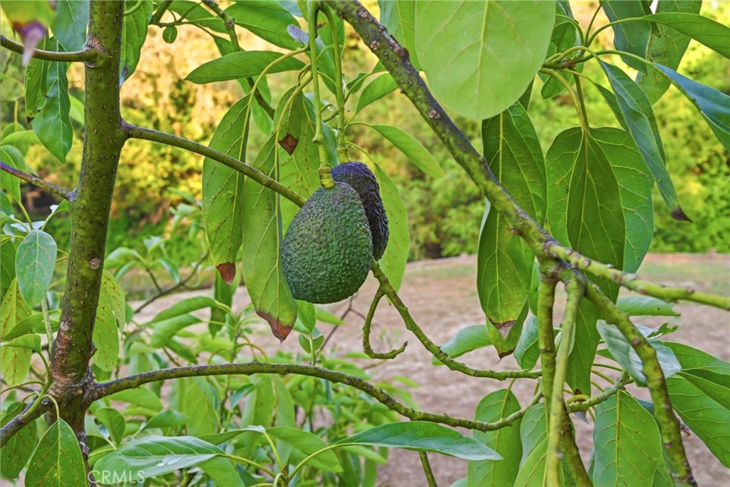 https://media.crmls.org/medias/d89c8ea9-7115-4af8-bd7d-7e1f8c751777.jpg?preset=X-Large