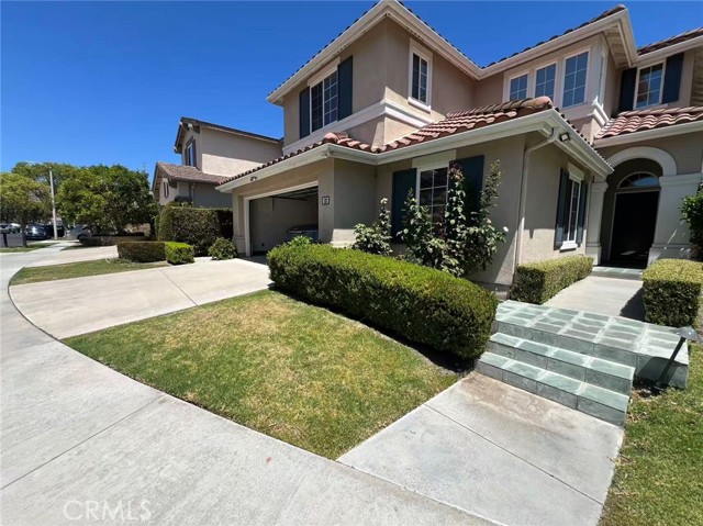 32 Bristlecone