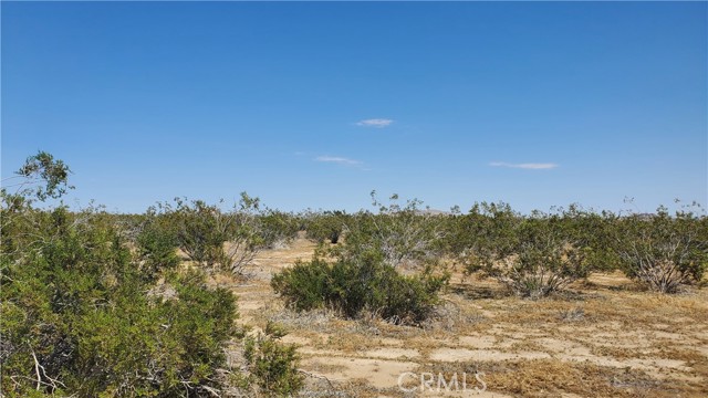 0 Budlong Ave & 114th St West, Rosamond, California 93560, ,Land,For Sale,0 Budlong Ave & 114th St West,CRSR23171065