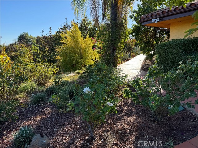 23192 De Anza Road, Temecula CA: https://media.crmls.org/medias/d8ab5106-f405-44f6-b05f-dba9c7ba607f.jpg