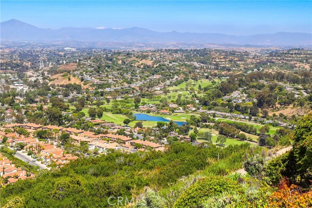 Detail Gallery Image 30 of 47 For 31142 Flying Cloud Dr, Laguna Niguel,  CA 92677 - 3 Beds | 2 Baths