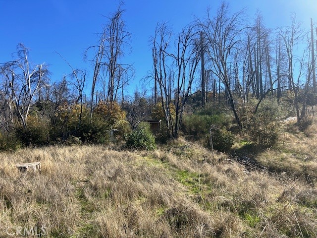 Detail Gallery Image 16 of 39 For 0 Craig Access, Feather Falls,  CA 95940 - – Beds | – Baths