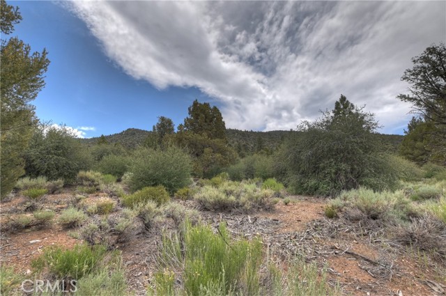 Detail Gallery Image 14 of 50 For 1285 Skyview Ct, Big Bear City,  CA 92314 - 3 Beds | 2 Baths