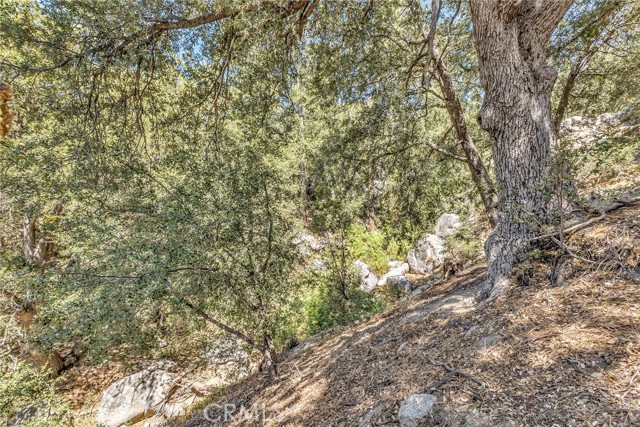25405 Point Of Rocks Drive, Idyllwild CA: https://media.crmls.org/medias/d8be29ea-d20b-4d63-9bd6-d83b4d6a5fd1.jpg