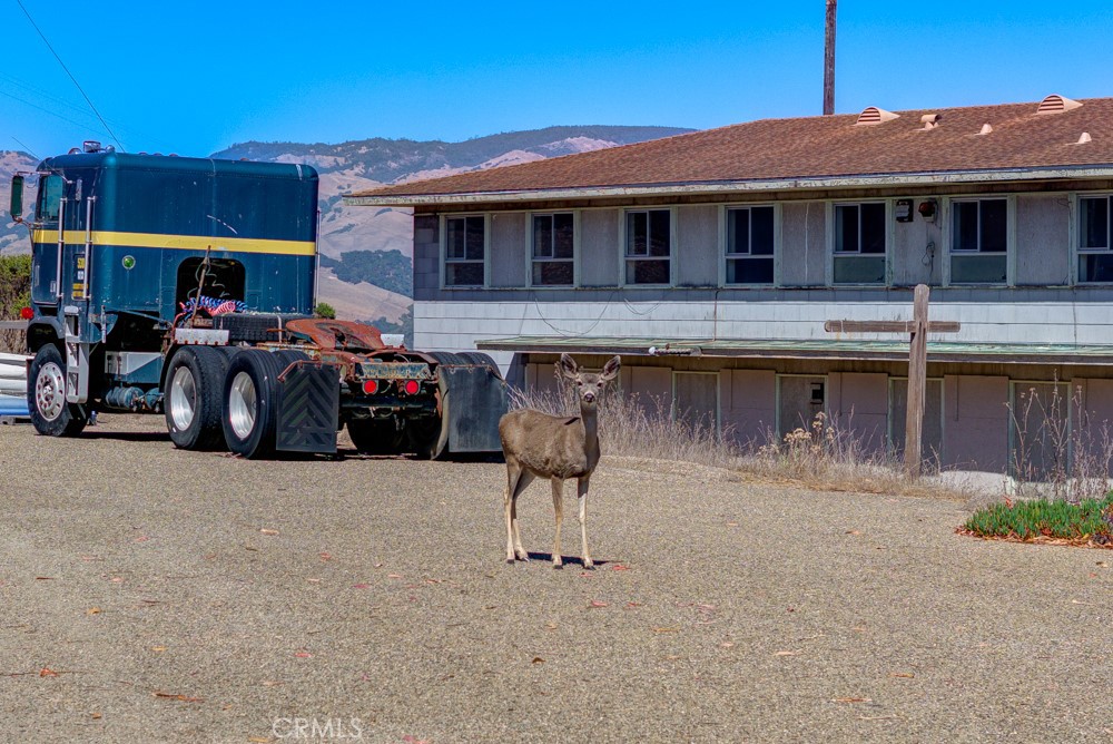 MLS #PI25238085 image #23