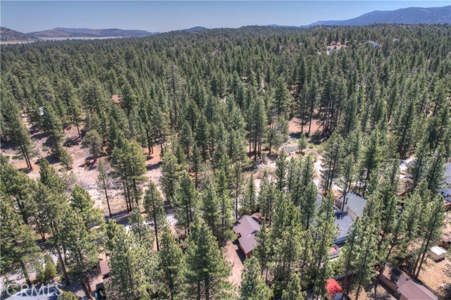 Detail Gallery Image 41 of 42 For 427 Salem Dr, Big Bear City,  CA 92314 - 2 Beds | 2 Baths