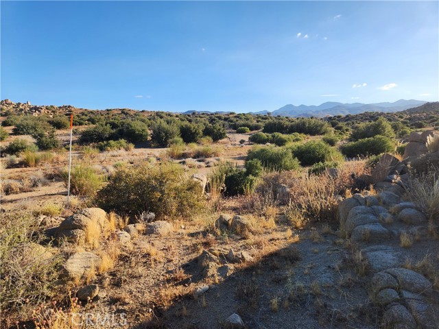 Detail Gallery Image 8 of 19 For 7 Ac Oak Dr, Pioneertown,  CA 92268 - – Beds | – Baths