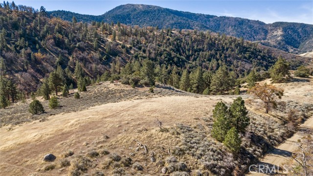 Detail Gallery Image 5 of 17 For 0 Alpine Forest Park, Tehachapi,  CA 92356 - – Beds | – Baths