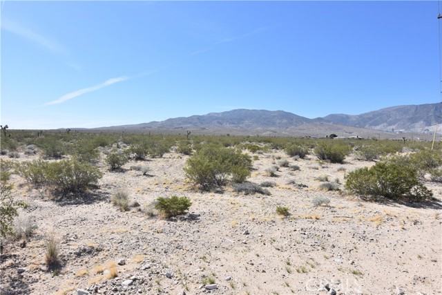 Detail Gallery Image 4 of 5 For 0 Camp Rock Rd., Lucerne Valley,  CA 92356 - – Beds | – Baths