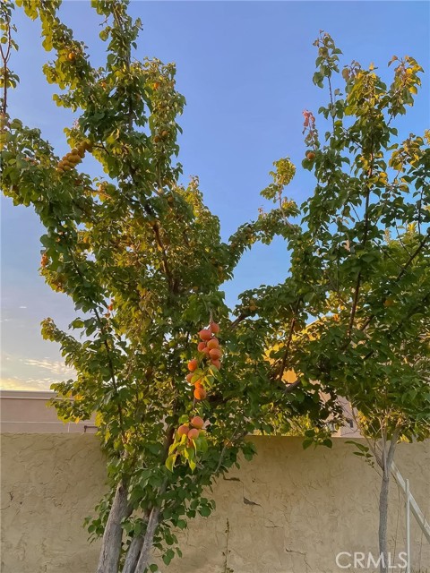 42722 20th W Street, Lancaster CA: https://media.crmls.org/medias/d8dd1afc-db94-4ff0-9603-6af2f2b658c1.jpg