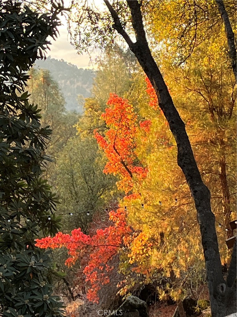 https://media.crmls.org/medias/d8ddbea3-f818-4c3b-8836-8e1af0280328.jpg?preset=X-Large