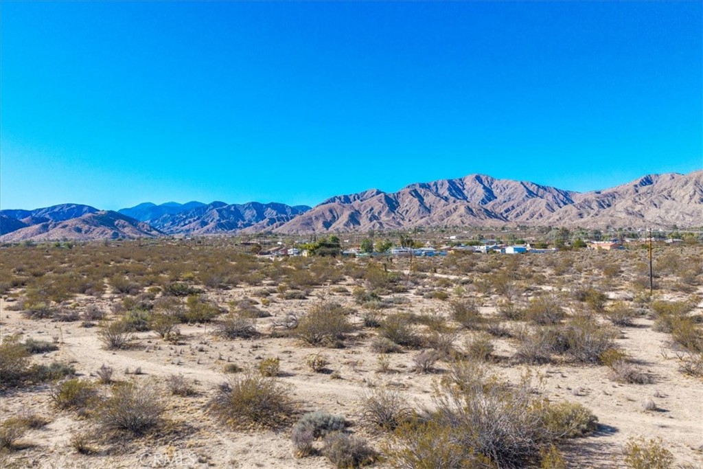 MLS #JT25257903 image #10