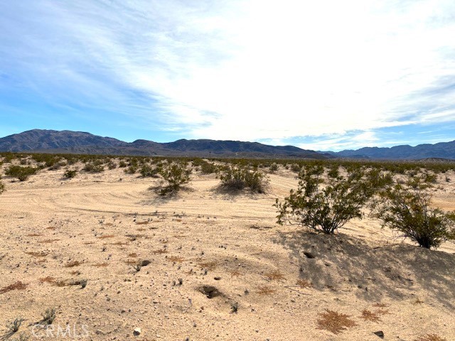 0 Primrose Lane, Twentynine Palms, California 92277, ,Land,For Sale,0 Primrose Lane,CRJT24004290