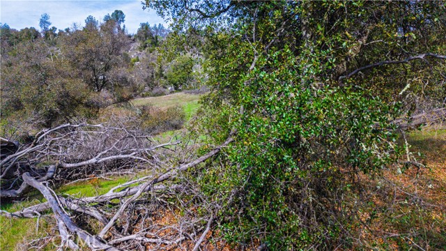 Detail Gallery Image 38 of 43 For 2320 Painted Pony Rd, Somerset,  CA 95684 - – Beds | – Baths