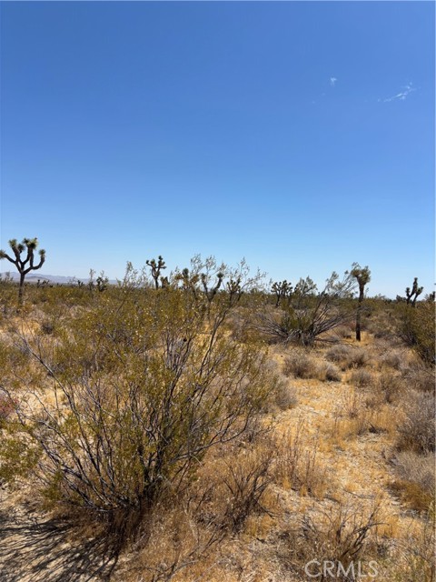  Land for Sale in Black Butte, California