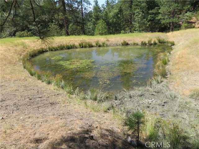 0 Barns Ranch Road, Covelo, California 95428, ,Land,For Sale,0 Barns Ranch Road,CRSN23031018