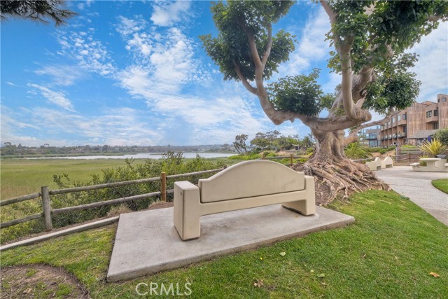 Detail Gallery Image 54 of 64 For 543 Laguna Dr, Carlsbad,  CA 92008 - 2 Beds | 2/1 Baths