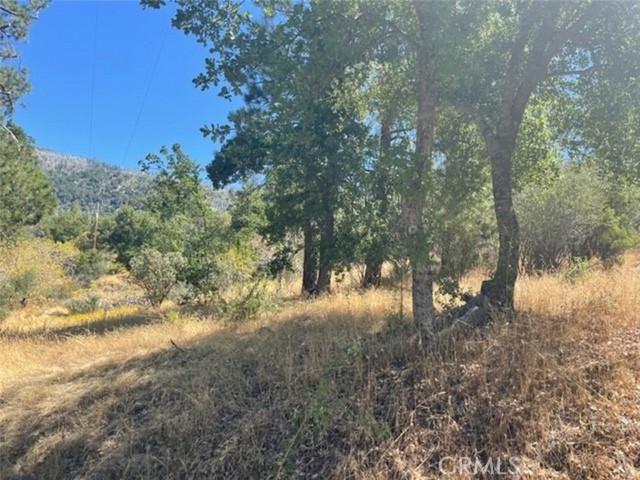 Detail Gallery Image 15 of 17 For 0 Lot 2 Peckinpah Acres Dr, North Fork,  CA 93643 - – Beds | – Baths