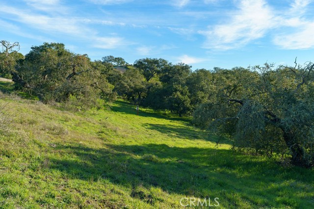 Detail Gallery Image 8 of 29 For 518 Bella Terra Ct, San Luis Obispo,  CA 93401 - – Beds | – Baths