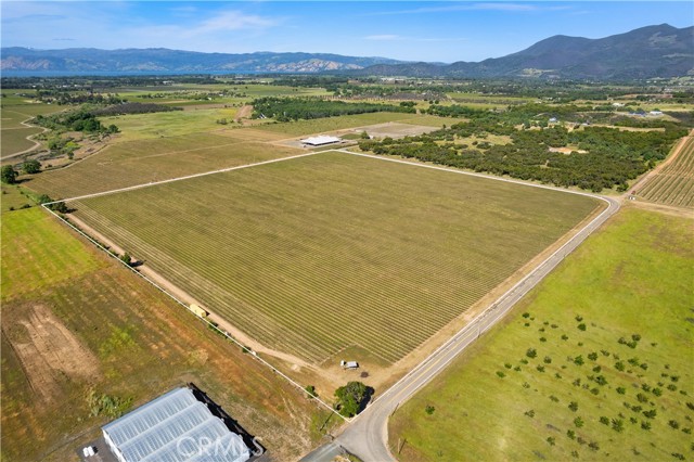 Detail Gallery Image 5 of 29 For 1650 Bell Hill Rd, Kelseyville,  CA 95451 - – Beds | – Baths