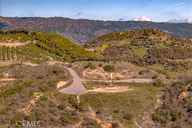 0 Crumley, Temecula, California 92590, ,Land,For Sale,0 Crumley,CRSW24035952