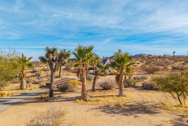 59427 La Crescenta Drive, Yucca Valley CA: https://media.crmls.org/medias/d91ed9e5-33e6-495e-a0ad-1e581de7ac75.jpg