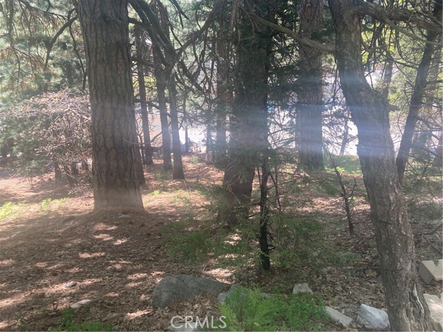 0 Lovers, Rimforest, CA, 92378 0 Lovers, Rimforest, CA, 92378
