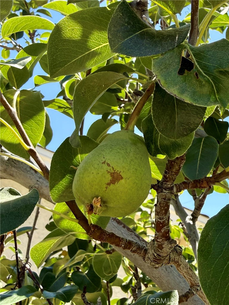 https://media.crmls.org/medias/d91fc1c8-d958-4ea7-bff9-9a93e17bb31e.jpg?preset=X-Large