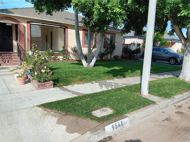 Front Yard