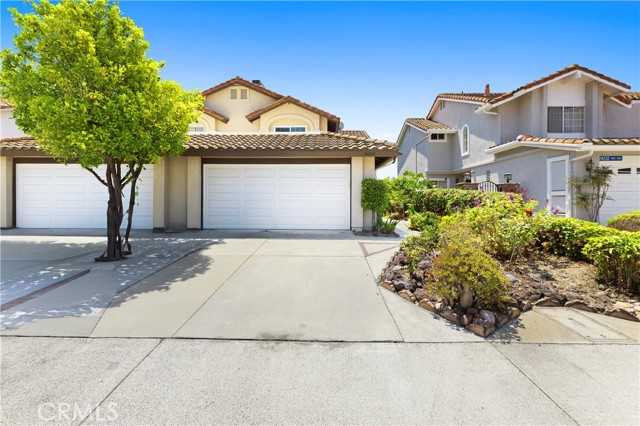 24242 Briones Drive, Laguna Niguel CA: https://media.crmls.org/medias/d92416a2-d7ae-46f7-bb05-27a76f2f670c.jpg
