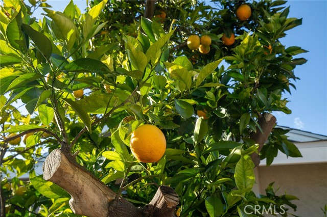 Detail Gallery Image 38 of 46 For 520 S Adria St, Anaheim,  CA 92802 - 4 Beds | 2 Baths