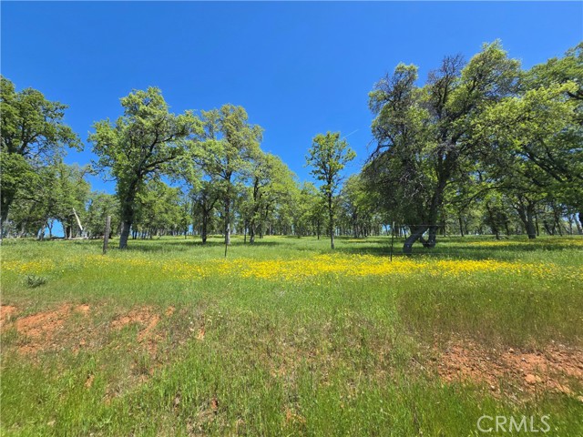 Detail Gallery Image 61 of 75 For 5963 Schilling Road, Coulterville,  CA 95311 - 3 Beds | 3 Baths