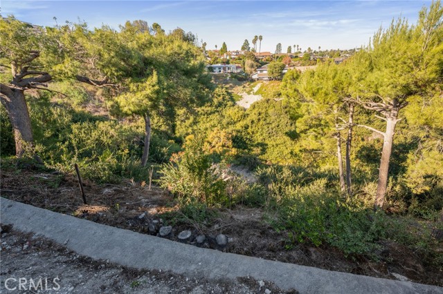 4903 Browndeer Lane, Rancho Palos Verdes, California 90275, 4 Bedrooms Bedrooms, ,3 BathroomsBathrooms,Residential,For Sale,Browndeer,PV24244939