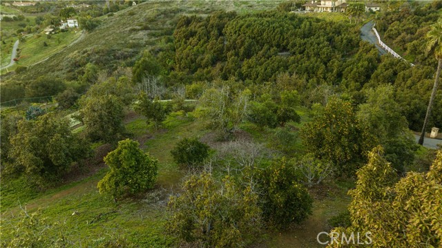 3861 PEONY DRIVE, Fallbrook, California 92028, 5 Bedrooms Bedrooms, ,4 BathroomsBathrooms,Residential,For Sale,PEONY DRIVE,OC24051368