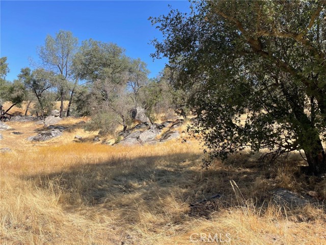0 Deep Forest Ct, Coarsegold, CA, 93614