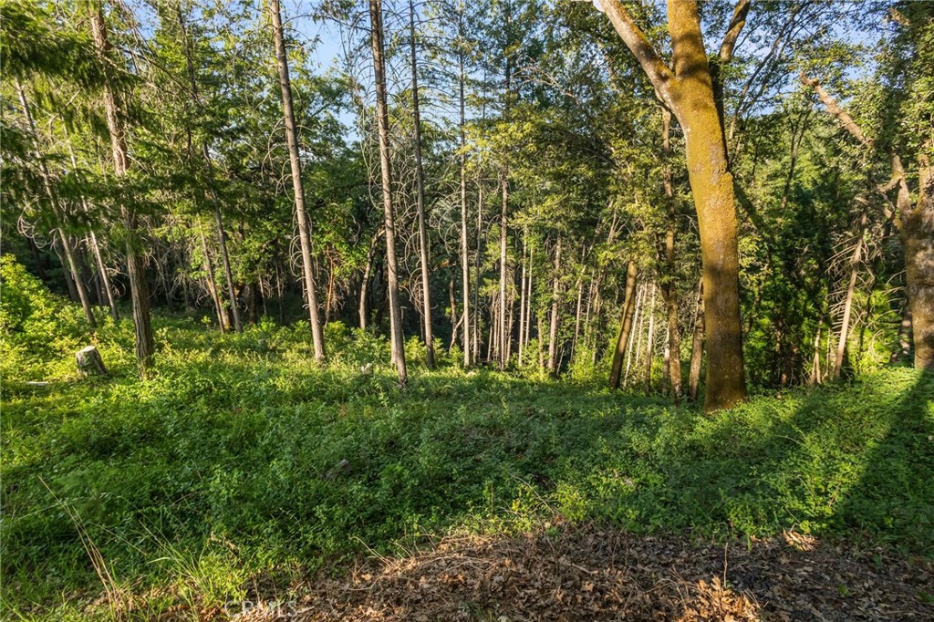 https://media.crmls.org/medias/d9372ce9-bde2-48f0-bc88-dfc53210b0ac.jpg?preset=X-Large