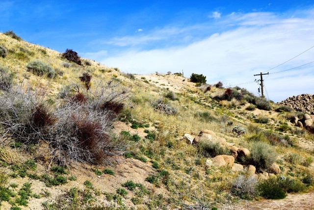 Detail Gallery Image 9 of 9 For 5996 Buena Suerte Rd, Yucca Valley,  CA 92284 - – Beds | – Baths