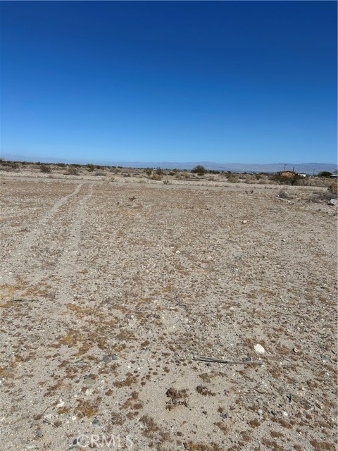 Front Image Thumbnail for CRDW26190502